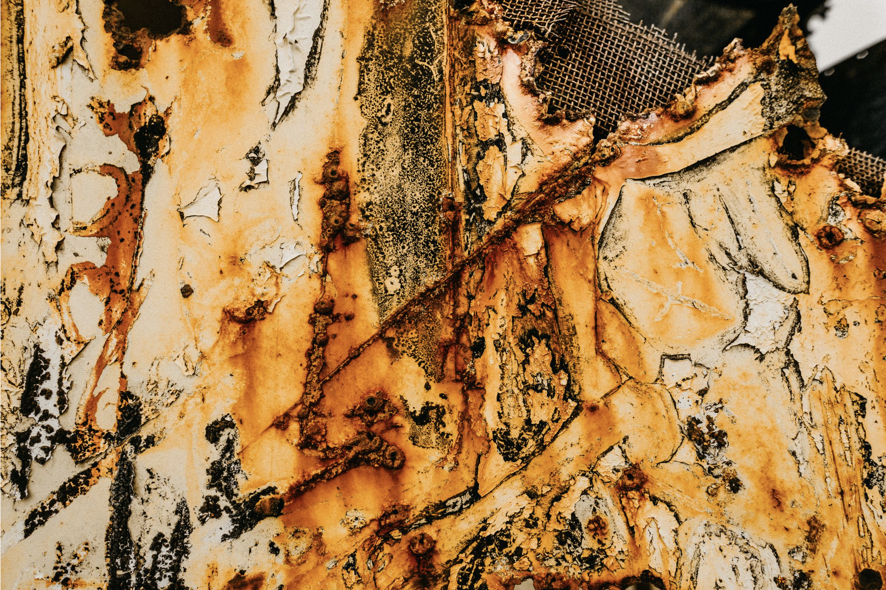 Best Rust Restorer in 2026 - Jenolite