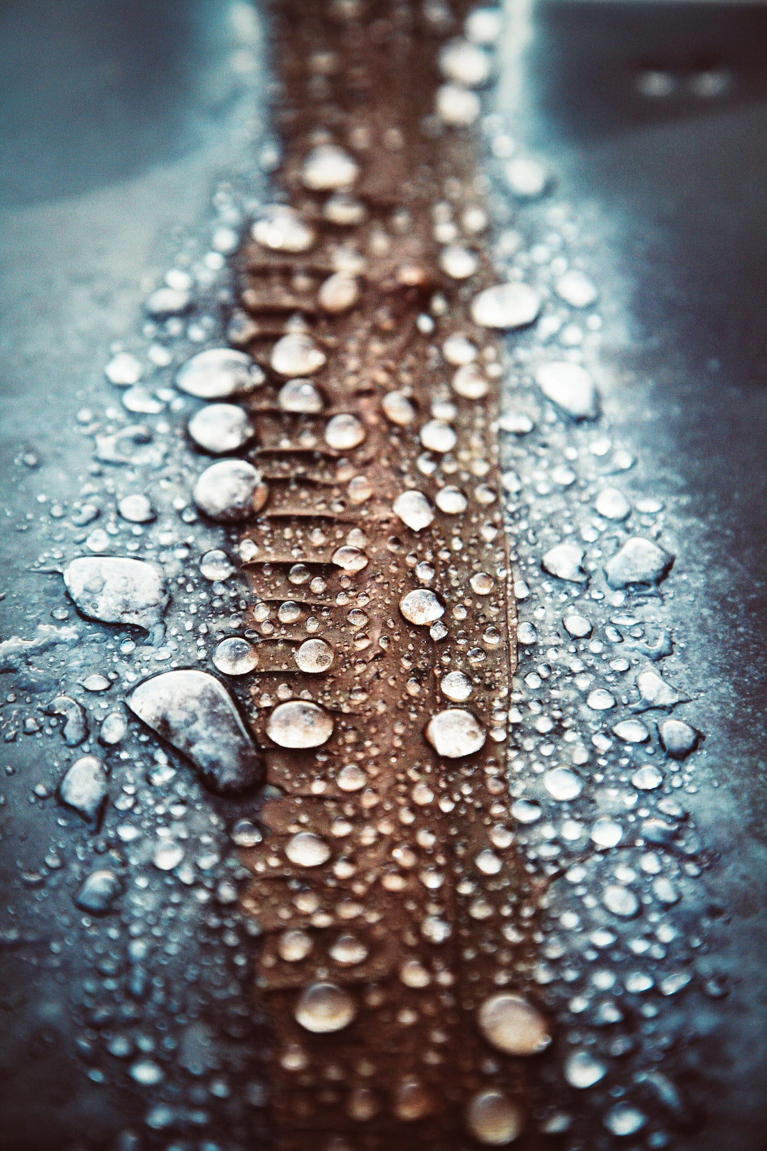 Best External Waterproof Sealant in 2026 - Jenolite